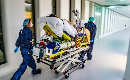 Dutch models of COVID-19 are designed to help prevent overloading of hospitals and the need to transfer patients. Image by Thomas Angus/Imperial College London. United Kingdom, 2020.